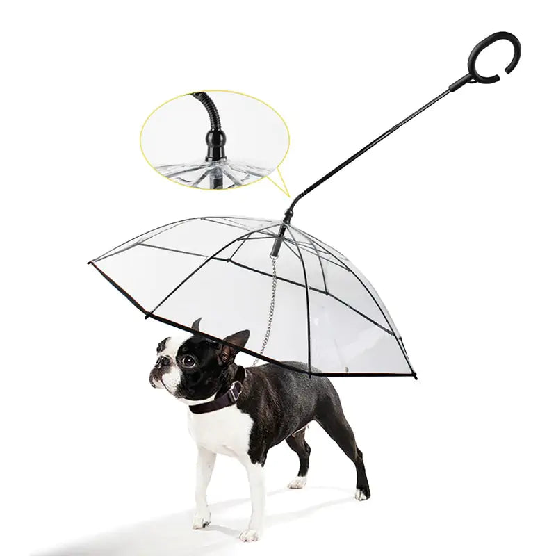 Pet Transparent Umbrella